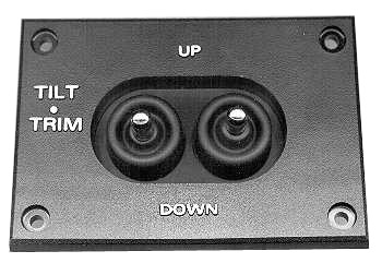DUAL DASHMOUNT TRIM SWITCHES