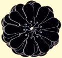 B239