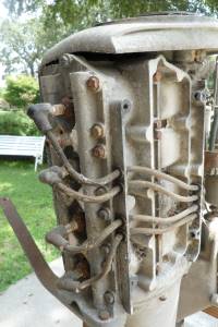 KG=-9 mud dauber H Q