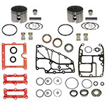 Johnson Evinrude 2-Cyl E-TEC rebuild kit