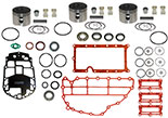 Johnson Evinrude 3-Cyl E-TEC rebuild kit