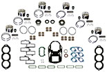 Evinrude V6 200-250 HP FICHT 3.3 rebuild kit